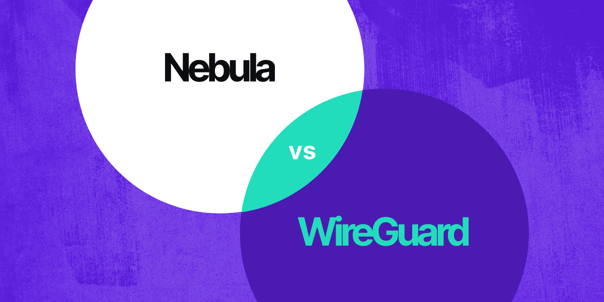 Illustration showing two circles with Wireguard and Nebula written in them, overlapping like a venn diagram.